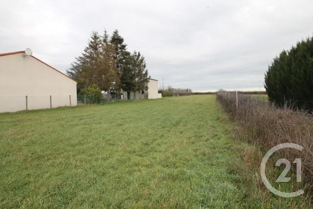 terrain à vendre - 1926.0 m2 - LE MAYET D ECOLE - 03 - AUVERGNE - Century 21 Lefèbvre Immobilier