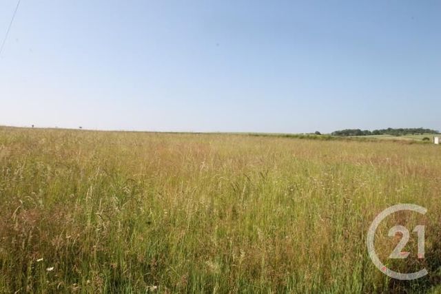 terrain à vendre - 1546.0 m2 - BEGUES - 03 - AUVERGNE - Century 21 Lefèbvre Immobilier