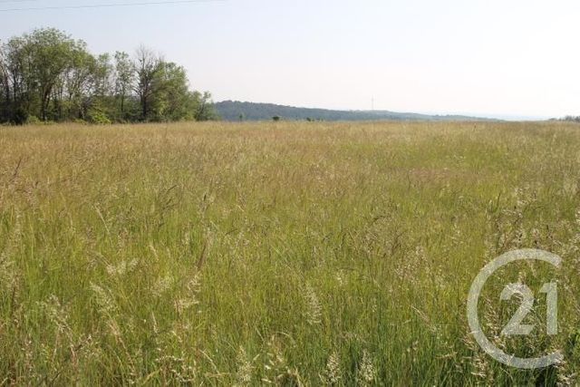 terrain à vendre - 1546.0 m2 - BEGUES - 03 - AUVERGNE - Century 21 Lefèbvre Immobilier