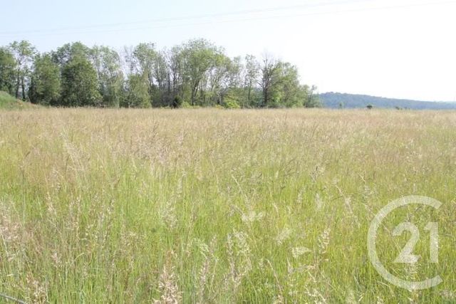 terrain à vendre - 1546.0 m2 - BEGUES - 03 - AUVERGNE - Century 21 Lefèbvre Immobilier