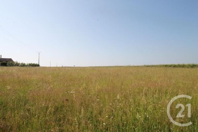 terrain à vendre - 1546.0 m2 - BEGUES - 03 - AUVERGNE - Century 21 Lefèbvre Immobilier
