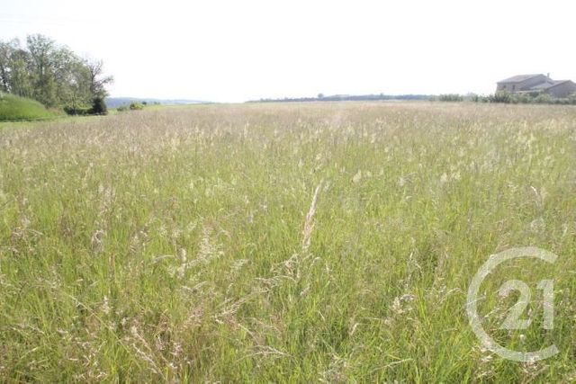 terrain à vendre - 1546.0 m2 - BEGUES - 03 - AUVERGNE - Century 21 Lefèbvre Immobilier