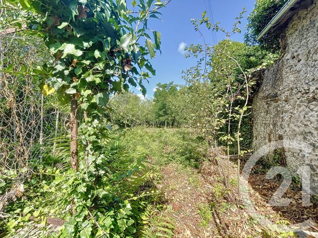 maison à vendre - 6 pièces - 144.0 m2 - LE MAYET D ECOLE - 03 - AUVERGNE - Century 21 Lefèbvre Immobilier