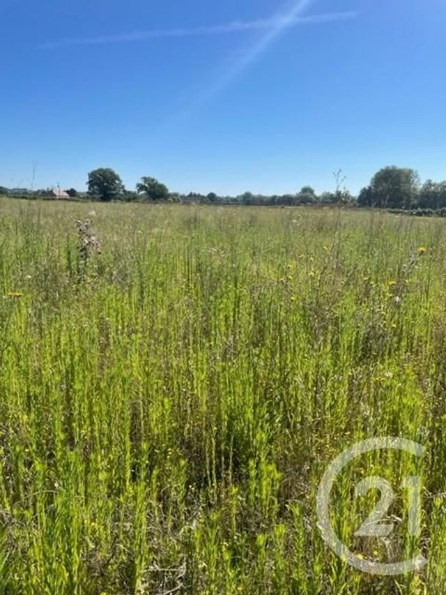 terrain à vendre - 3170.0 m2 - CHEZELLE - 03 - AUVERGNE - Century 21 Lefèbvre Immobilier