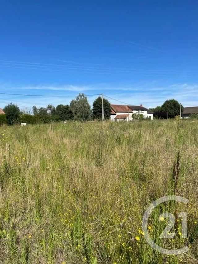 terrain à vendre - 3170.0 m2 - CHEZELLE - 03 - AUVERGNE - Century 21 Lefèbvre Immobilier