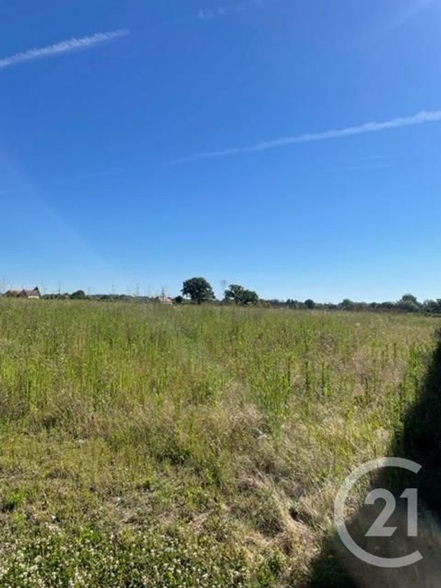 terrain à vendre - 3170.0 m2 - CHEZELLE - 03 - AUVERGNE - Century 21 Lefèbvre Immobilier