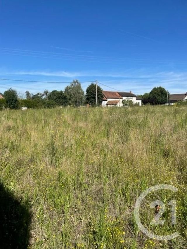 terrain à vendre - 3170.0 m2 - CHEZELLE - 03 - AUVERGNE - Century 21 Lefèbvre Immobilier