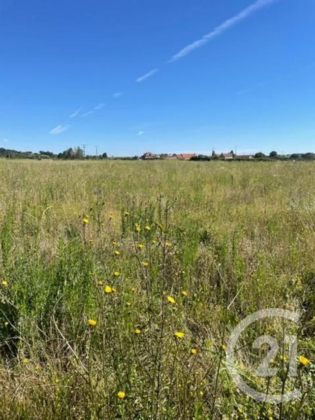 terrain à vendre - 3170.0 m2 - CHEZELLE - 03 - AUVERGNE - Century 21 Lefèbvre Immobilier