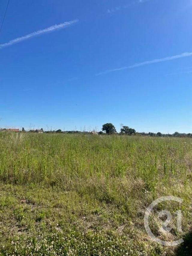 terrain à vendre - 3170.0 m2 - CHEZELLE - 03 - AUVERGNE - Century 21 Lefèbvre Immobilier