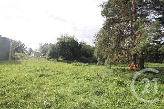 Afficher la photo en grand terrain à vendre - 1300.0 m2 - VILLENEUVE LES CERFS - 63 - AUVERGNE - Century 21 Lefèbvre Immobilier