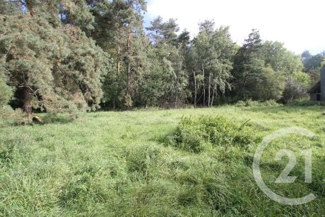 Afficher la photo en grand terrain à vendre - 1300.0 m2 - VILLENEUVE LES CERFS - 63 - AUVERGNE - Century 21 Lefèbvre Immobilier