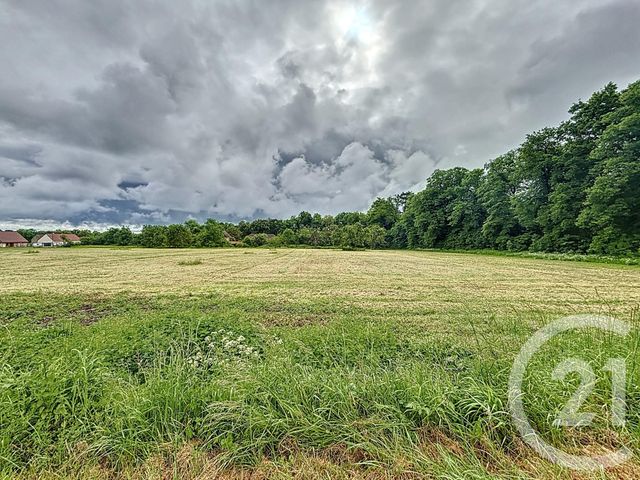 terrain à vendre - 2781.0 m2 - BIOZAT - 03 - AUVERGNE - Century 21 Lefèbvre Immobilier