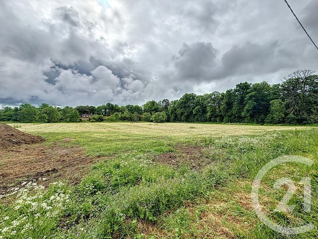 terrain à vendre - 2781.0 m2 - BIOZAT - 03 - AUVERGNE - Century 21 Lefèbvre Immobilier