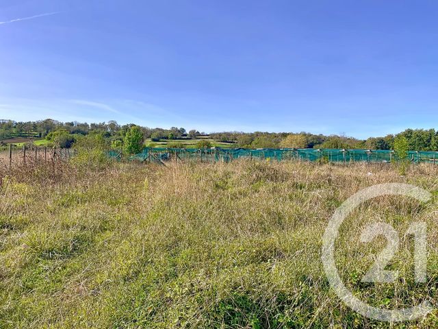 terrain à vendre - 21700.0 m2 - MAZERIER - 03 - AUVERGNE - Century 21 Lefèbvre Immobilier