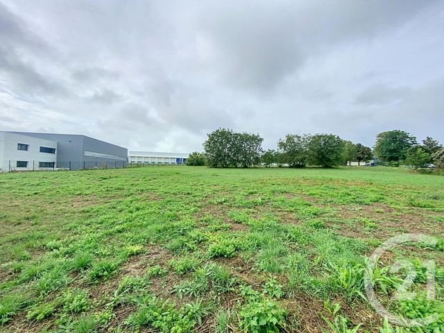 terrain à vendre - 6224.0 m2 - GANNAT - 03 - AUVERGNE - Century 21 Lefèbvre Immobilier