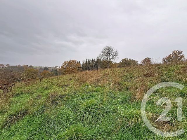 maison à vendre - 3 pièces - 50.0 m2 - MOUREUILLE - 63 - AUVERGNE - Century 21 Lefèbvre Immobilier