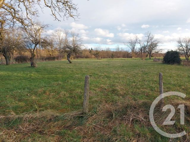 terrain à vendre - 1500.0 m2 - ESPINASSE VOZELLE - 03 - AUVERGNE - Century 21 Lefèbvre Immobilier