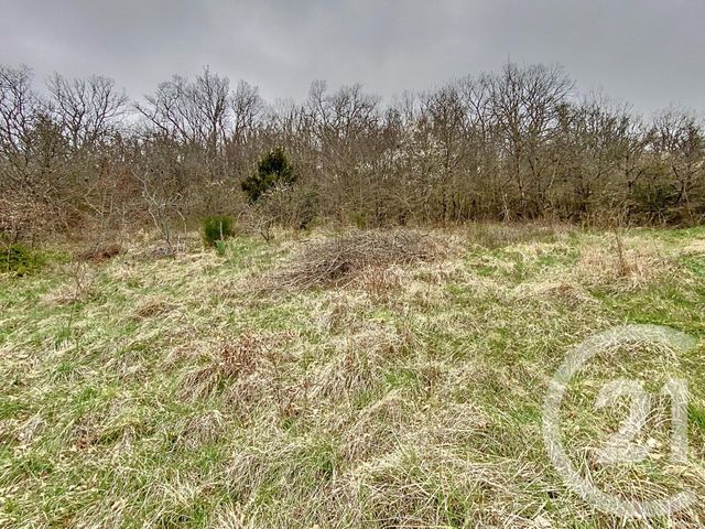 maison à vendre - 4 pièces - 117.0 m2 - BELLENAVES - 03 - AUVERGNE - Century 21 Lefèbvre Immobilier