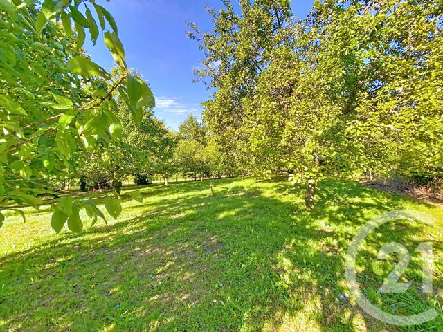 maison à vendre - 4 pièces - 70.0 m2 - VEAUCE - 03 - AUVERGNE - Century 21 Lefèbvre Immobilier