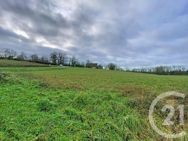 maison à vendre - 5 pièces - 109.75 m2 - BROUT VERNET - 03 - AUVERGNE - Century 21 Lefèbvre Immobilier